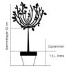 Fransk Bjergfyr Pinus Uncinata Opstammet 50 Cm. 7,5 Liter Potte -Siriu Planter Butik 863 opstammet 50 cm 7 5 liter potte 12a3