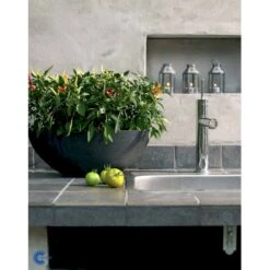 Chilipeber 'Lombardo' Capsicum Annuum 'Lombardo' Pose Med Frø Eller Løg, 5 -Siriu Planter Butik fi918 capsicum annuum 24f5