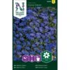 Kantlobelie 'Crystal Palace' Lobelia Erinus 'Crystal Palace' Pose Med Frø Eller Løg, 15 -Siriu Planter Butik p20529 34837 lobelia erinus crystal palace 1c26