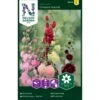 Stokrose 'Chaters Double' Alcea Rosea L. 'Chaters Double' Pose Med Frø Eller Løg, 25 -Siriu Planter Butik p20627 34843 alcea rosea l chaters double f37c