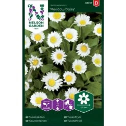 Tusindfryd 'Meadow Daisy' Bellis Perennis L. 'Meadow Daisy' Pose Med Frø Eller Løg, 20