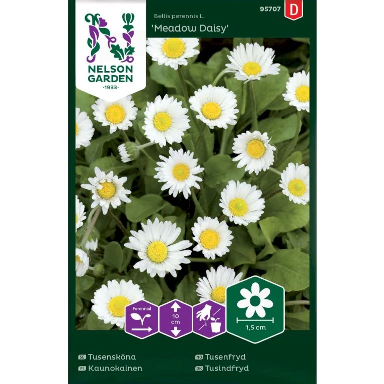 Tusindfryd 'Meadow Daisy' Bellis Perennis L. 'Meadow Daisy' Pose Med Frø Eller Løg, 20 3 Tusindfryd 'Meadow Daisy' Bellis Perennis L. 'Meadow Daisy' Pose Med Frø Eller Løg, 20