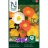 Sibirisk Valmue Mix Papaver Croceum Pose Med Frø Eller Løg, 25 -Siriu Planter Butik p20661 34840 papaver croceum 864e