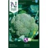 Broccoli 'Alantis' F1 Brassica Oleracea 'Atlantis' F1 -Siriu Planter Butik p33609 37428 brassica oleracea atlantis f1 4b78