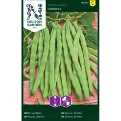 Bønne, Snitte-, Admires Phaseolus Vulgaris 'Admires'