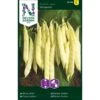 Snittebønne 'Serpedor' Phaseolus Vulgaris 'Serpedor' -Siriu Planter Butik p33615 36989 phaseolus vulgaris serpedor 1d59