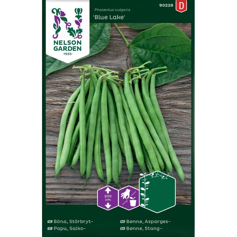 Stangbønne 'Blue Lake' Phaseolus Vulgaris 'Blue Lake' 3 Stangbønne 'Blue Lake' Phaseolus Vulgaris 'Blue Lake'
