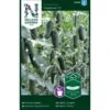 Miniagurk 'Hopeline' F1 Cucumis Sativus 'Hopeline' F1 -Siriu Planter Butik p33645 37003 cucumis sativus hopeline f1 e90e