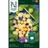 Ananaskirsebær Physalis Grisea 2 Ananaskirsebær Physalis Grisea -Siriu Planter Butik p33646 37019 physalis grisea 8b19