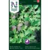 Japanske Bladgrønsager Mix Brassica Rapa Mix -Siriu Planter Butik p33655 37073 brassica rapa mix ce7a