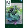 Blomsterkål 'Autumn Star' F1 Brassica Oleracea Kalette 'Autumn Star' F1