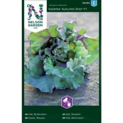 Blomsterkål 'Autumn Star' F1 Brassica Oleracea Kalette 'Autumn Star' F1
