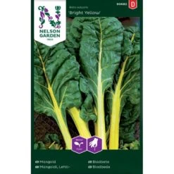 Bladbede 'Bright Yellow' F1 Beta Vulgaris 'Bright Yellow' F1
