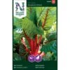 Bladbede 'Rhubarb Chard' Beta Vulgaris 'Rhubarb Chard' -Siriu Planter Butik p33686 37119 beta vulgaris rhubarb chard 7504