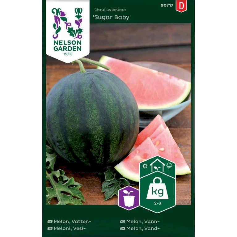 Vandmelon 'Sugar Baby' Citrullus Lanatus 'Sugar Baby' 3 Vandmelon 'Sugar Baby' Citrullus Lanatus 'Sugar Baby'