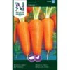 Vintergulerod 'Flakkée 2' Såbånd Daucus Carota L 'Flakkée 2' -Siriu Planter Butik p33692 37124 daucus carota l flakkee 2 3f32