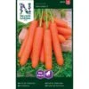 Sommergulerod 'Nantaise 2' Big Pack Daucus Carota L 'Nantaise 2' -Siriu Planter Butik p33698 37130 daucus carota l nantaise 2 597a