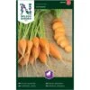 Gulerod, Sommer-, Oxheart Daucus Carota L 'Oxheart' -Siriu Planter Butik p33705 37133 daucus carota l oxheart 896b