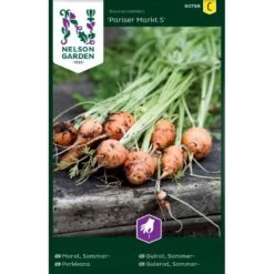 Sommergulerod 'Pariser Markt 5' Daucus Carota L 'Pariser Markt 5'