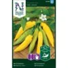 Ajíchili 'Hot Lemon' Capsicum Baccatum 'Hot Lemon' -Siriu Planter Butik p33722 37039 capsicum baccatum hot lemon 8cbe