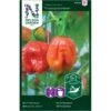 Chilipeber 'Trinidad Scorpion' Capsicum Chinense 'Trinidad Scorpion' 1 Chilipeber 'Trinidad Scorpion' Capsicum Chinense 'Trinidad Scorpion' -Siriu Planter Butik p33729 37038 capsicum chinense trinidad scorpion ebc1