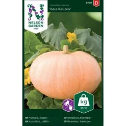 Centnergræskar 'Gele Reuzen' Cucurbita Maxima 'Gele Reuzen'