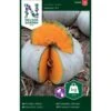 Centnergræskar 'Nelson' F1 Cucurbita Maxima 'Nelson' F1 -Siriu Planter Butik p33739 37145 cucurbita maxima nelson f1 cf15