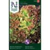Bataviasalat 'Lollo Rossa' Lactuca Sativa 'Lollo Rossa'
