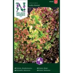 Bataviasalat 'Lollo Rossa' Lactuca Sativa 'Lollo Rossa'