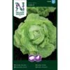 Hovedsalat 'Hilde II' Såbånd Lactuca Sativa 'Hilde II' -Siriu Planter Butik p33766 37161 lactuca sativa hilde ii 2fc5