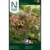 Pluksalat 'New Red Fire' Lactuca Sativa 'New Red Fire' -Siriu Planter Butik p33778 37170 lactuca sativa new red fire c016