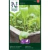 Rucola 'Venetia' Eruca Sativa 'Venetia' -Siriu Planter Butik p33783 34860 eruca sativa venetia 9fd3