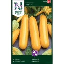 Squash 'Soleil' F1 Cucurbita Pepo 'Soleil' F1