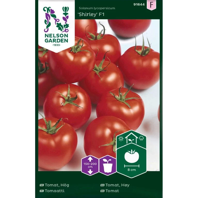 Tomat 'Shirley' F1 Solanum Lycopersicum 'Shirley' F1 3 Tomat 'Shirley' F1 Solanum Lycopersicum 'Shirley' F1