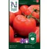 Frilandstomat 'Hildares' F1 Solanum Lycopersicum 'Hildares' F1 -Siriu Planter Butik p33816 37030 solanum lycopersicum hildares f1 dd06