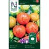 Tomat 'Tigerella' Solanum Lycopersicum 'Tigerella' -Siriu Planter Butik p33817 37034 solanum lycopersicum tigerella 9e34