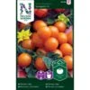 Kirsebærtomat 'Sungold' F1 Solanum Lycopersicum 'Sungold' F1 -Siriu Planter Butik p33824 37028 solanum lycopersicum sungold f1 92fc