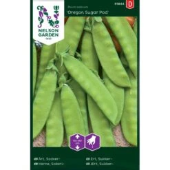 Sukkerært 'Oregon Sugar Pod' Pisum Sativum 'Oregon Sugar Pod'