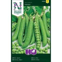 Lav Skalært 'Meteor' Pisum Sativum 'Meteor'