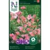 Atlaskblomst 'Sybil Sherwood' Clarkia Amoena 'Sybil Sherwood' 1 Atlaskblomst 'Sybil Sherwood' Clarkia Amoena 'Sybil Sherwood' -Siriu Planter Butik p33849 37206 clarkia amoena sybil sherwood 1e8b