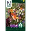 Honningblomster Mix Nelson Mixture -Siriu Planter Butik p33851 37207 nelson mixture 45e8