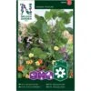 Slyngplanter Mix Nelson Mixture -Siriu Planter Butik p33852 37208 nelson mixture 6de8