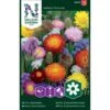 Evighedsblomster Mix Nelson Mixture -Siriu Planter Butik p33854 37210 nelson mixture 30f6