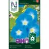 Pragtsnerle 'Heavenly Blue' Ipomoea Tricolor 'Heavenly Blue' 1 Pragtsnerle 'Heavenly Blue' Ipomoea Tricolor 'Heavenly Blue' -Siriu Planter Butik p33859 37213 ipomoea tricolor heavenly blue d8a1