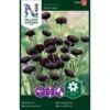 Kornblomst 'Black Boy' Centaurea Cyanus 'Black Boy' 1 Kornblomst 'Black Boy' Centaurea Cyanus 'Black Boy' -Siriu Planter Butik p33866 37221 centaurea cyanus black boy 2a2b