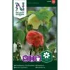 Klokketræ Mix Abutilon X Hybridum -Siriu Planter Butik p33892 37242 abutilon x hybridum 39aa