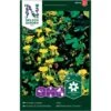 Sommerfugleblomsterkarse Tropaeolum Peregrinum L. -Siriu Planter Butik p33894 37244 tropaeolum peregrinum l 16cd