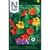 Buskblomsterkarse 'Tom Thumb' Tropaeolum Majus 'Tom Thumb' -Siriu Planter Butik p33906 37254 tropaeolum majus tom thumb b1a0