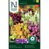 Lav Løvemund 'Cheerio' F2 Mix Antirrhinum Majus 'Cheerio' F2 2 Lav Løvemund 'Cheerio' F2 Mix Antirrhinum Majus 'Cheerio' F2 -Siriu Planter Butik p33911 37258 antirrhinum majus cheerio f2 0469