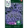 Hængelobelie 'Saphir' Lobelia Erinus 'Saphir' -Siriu Planter Butik p33915 37262 lobelia erinus saphir 060f